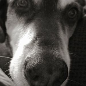 Meet your Posher, Jody